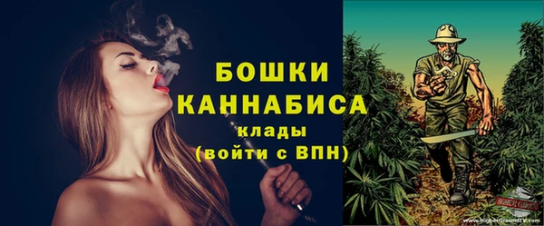 дживик Зеленокумск