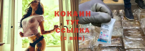 гидра Вязники